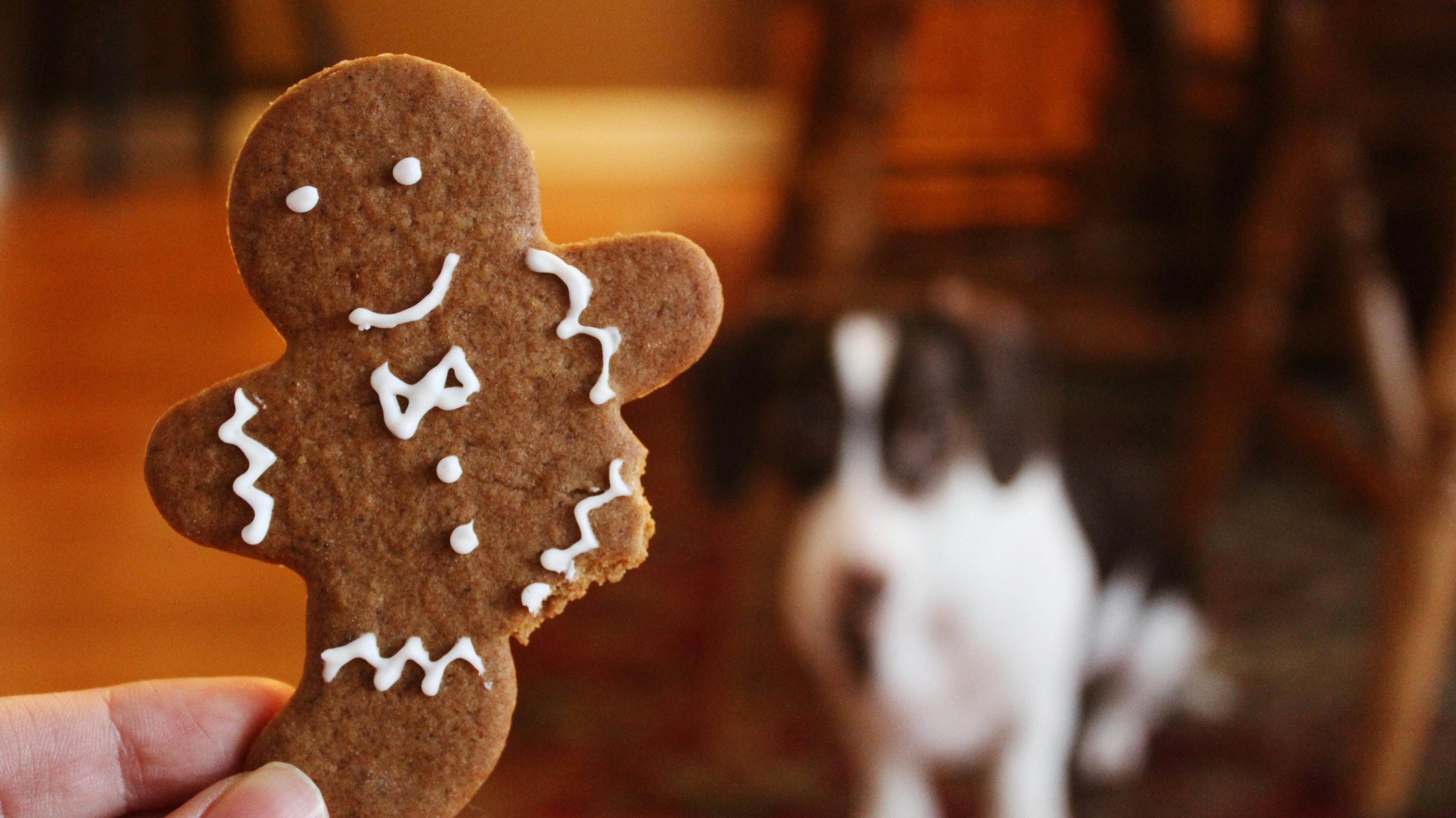 Gingerbread man