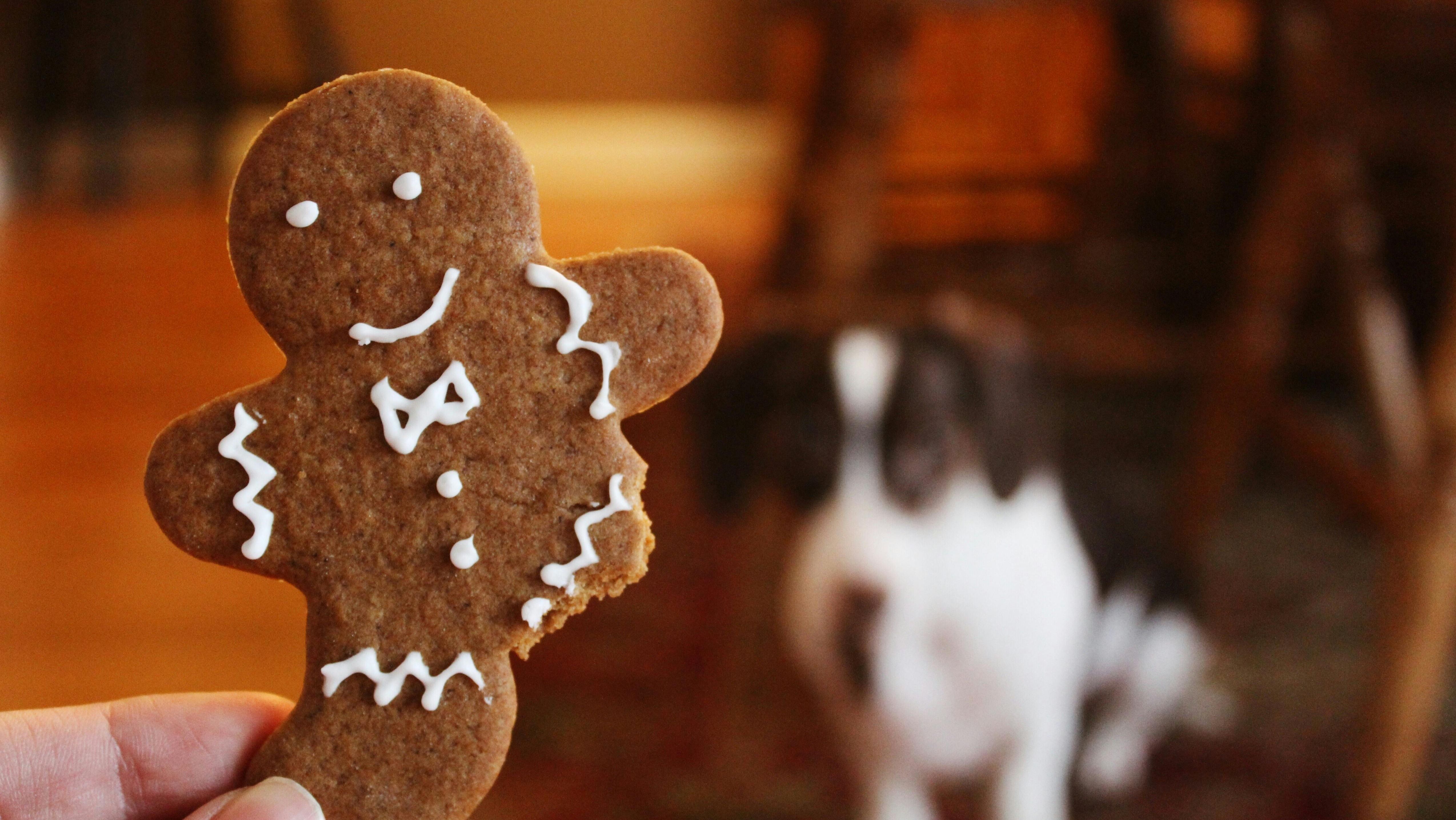 Gingerbread man